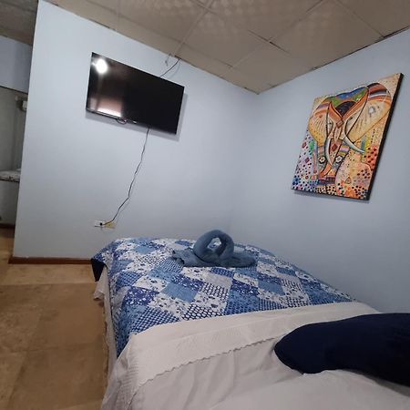 Twin Fin Plaza Hostel Bocas Town Luaran gambar