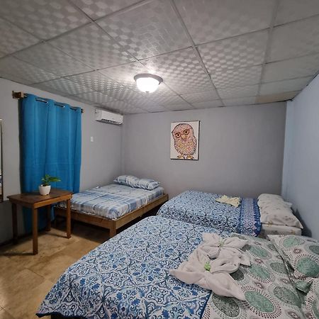 Twin Fin Plaza Hostel Bocas Town Luaran gambar