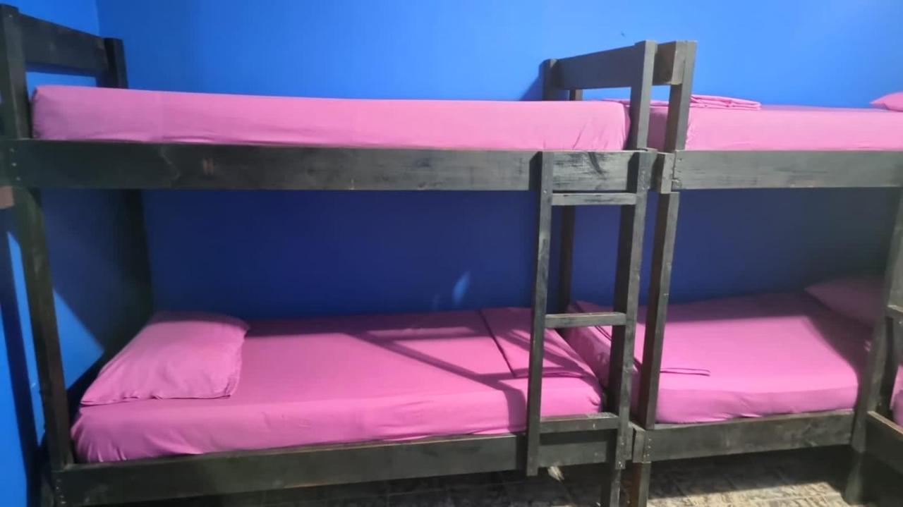Twin Fin Plaza Hostel Bocas Town Luaran gambar