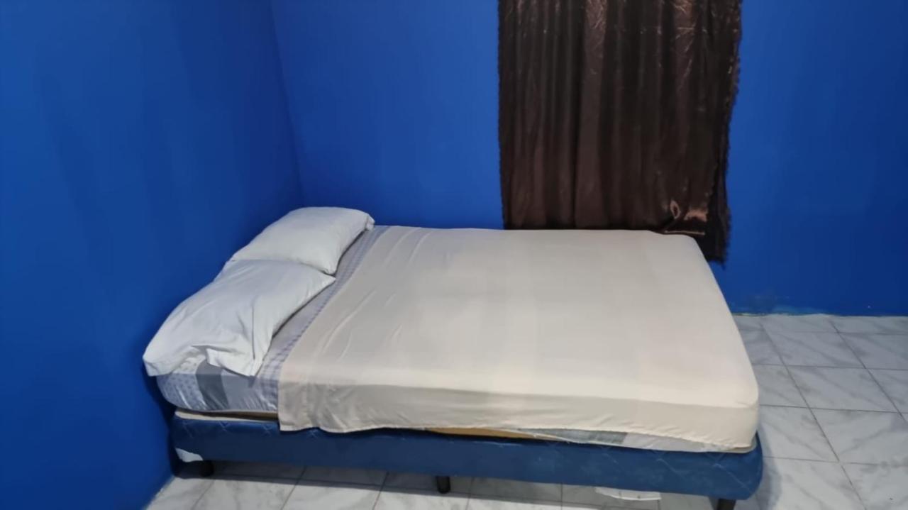 Twin Fin Plaza Hostel Bocas Town Luaran gambar