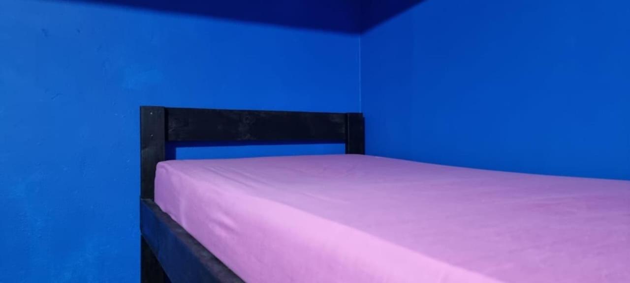 Twin Fin Plaza Hostel Bocas Town Luaran gambar