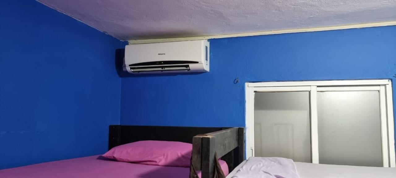 Twin Fin Plaza Hostel Bocas Town Luaran gambar