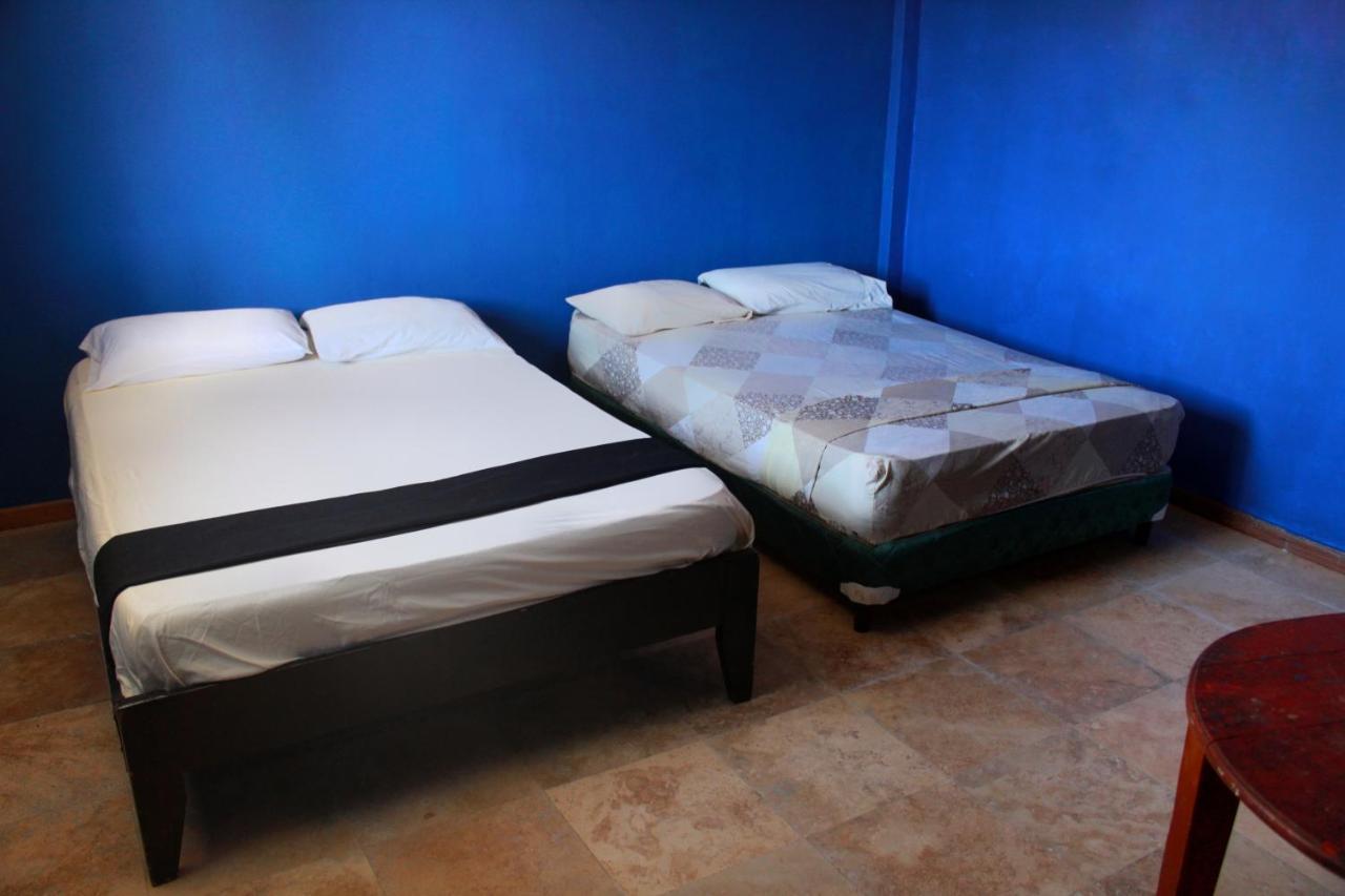 Twin Fin Plaza Hostel Bocas Town Luaran gambar