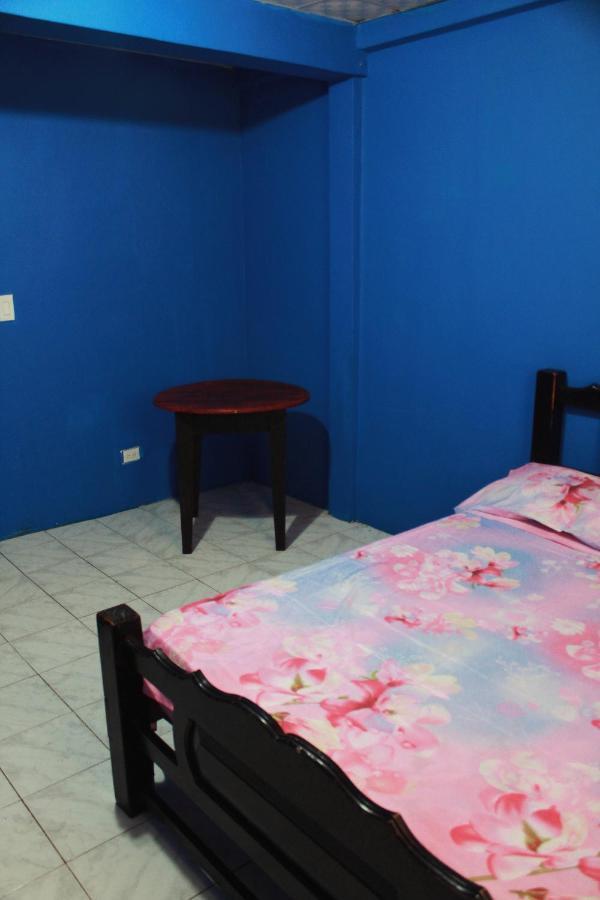 Twin Fin Plaza Hostel Bocas Town Luaran gambar