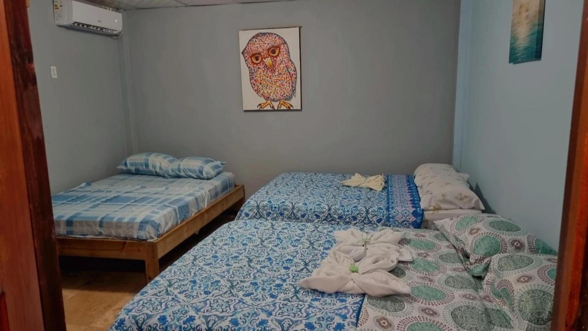 Twin Fin Plaza Hostel Bocas Town Luaran gambar