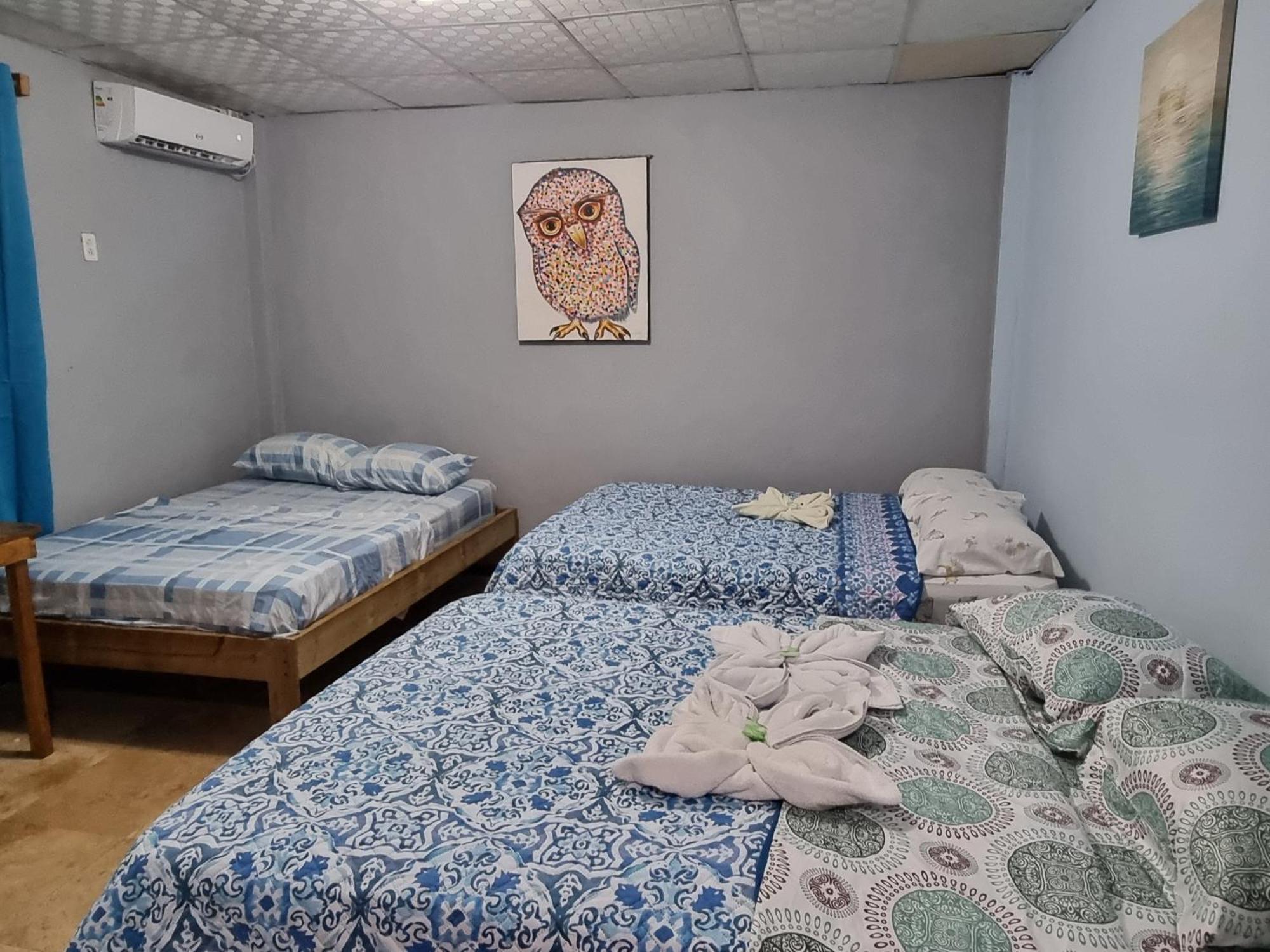 Twin Fin Plaza Hostel Bocas Town Luaran gambar